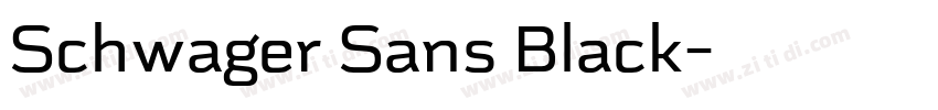 Schwager Sans Black字体转换